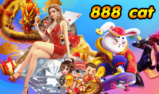 888 cat